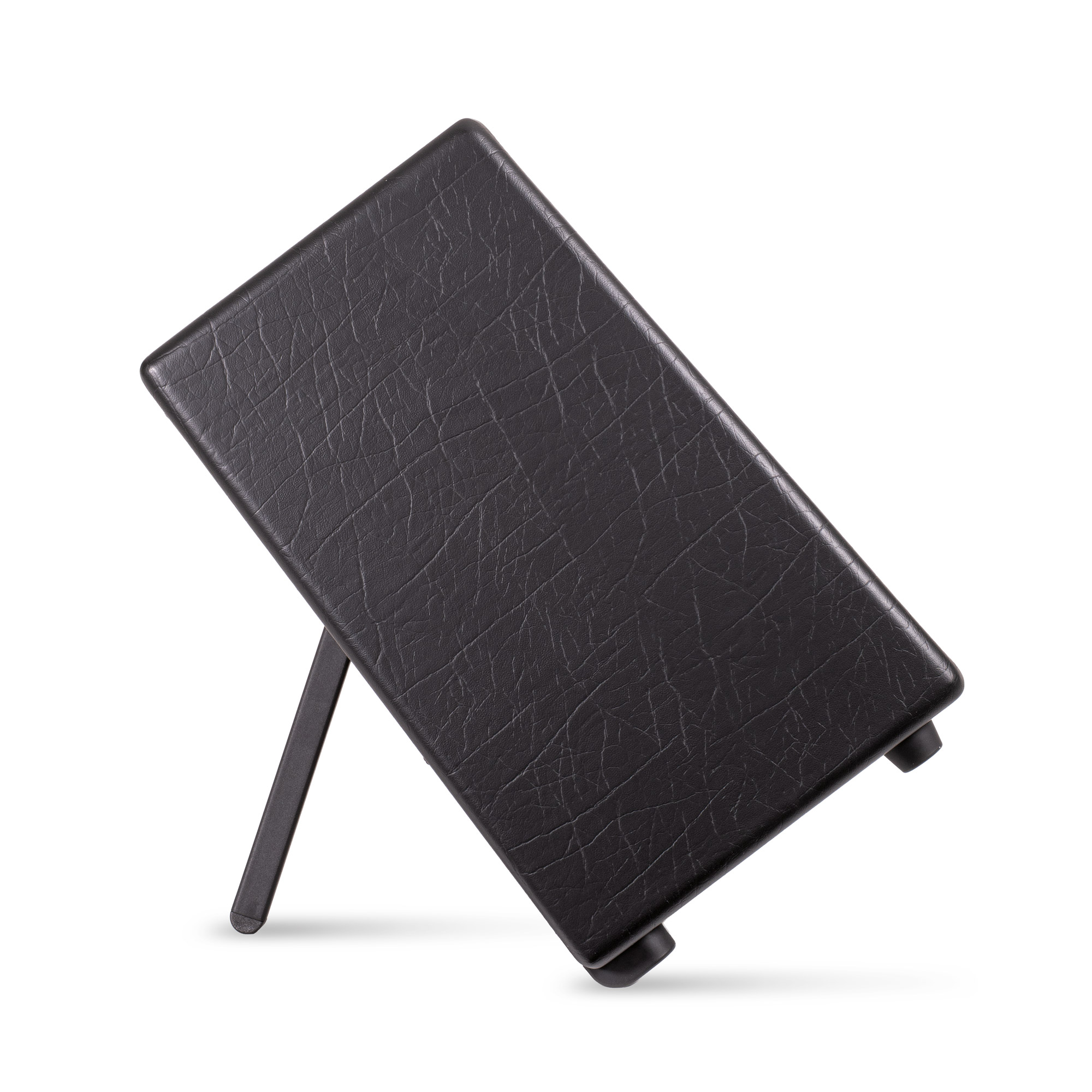 Artist FR 50 Standard 1x12" Schwarz